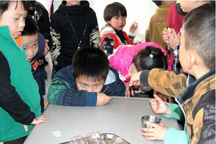 學校需慎選食堂承包者